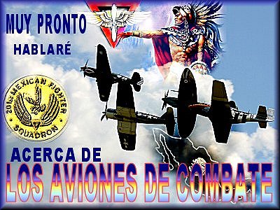 20060710200244-avionescombate.jpg